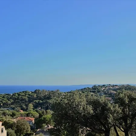 Savoir Vivre With Sea View And St. Tropez