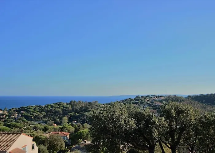 Savoir Vivre With Sea View And St. Tropez